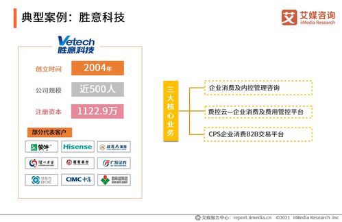 2021上半年企業(yè)費(fèi)控報銷服務(wù)專題研究報告 現(xiàn)狀、挑戰(zhàn)與趨勢
